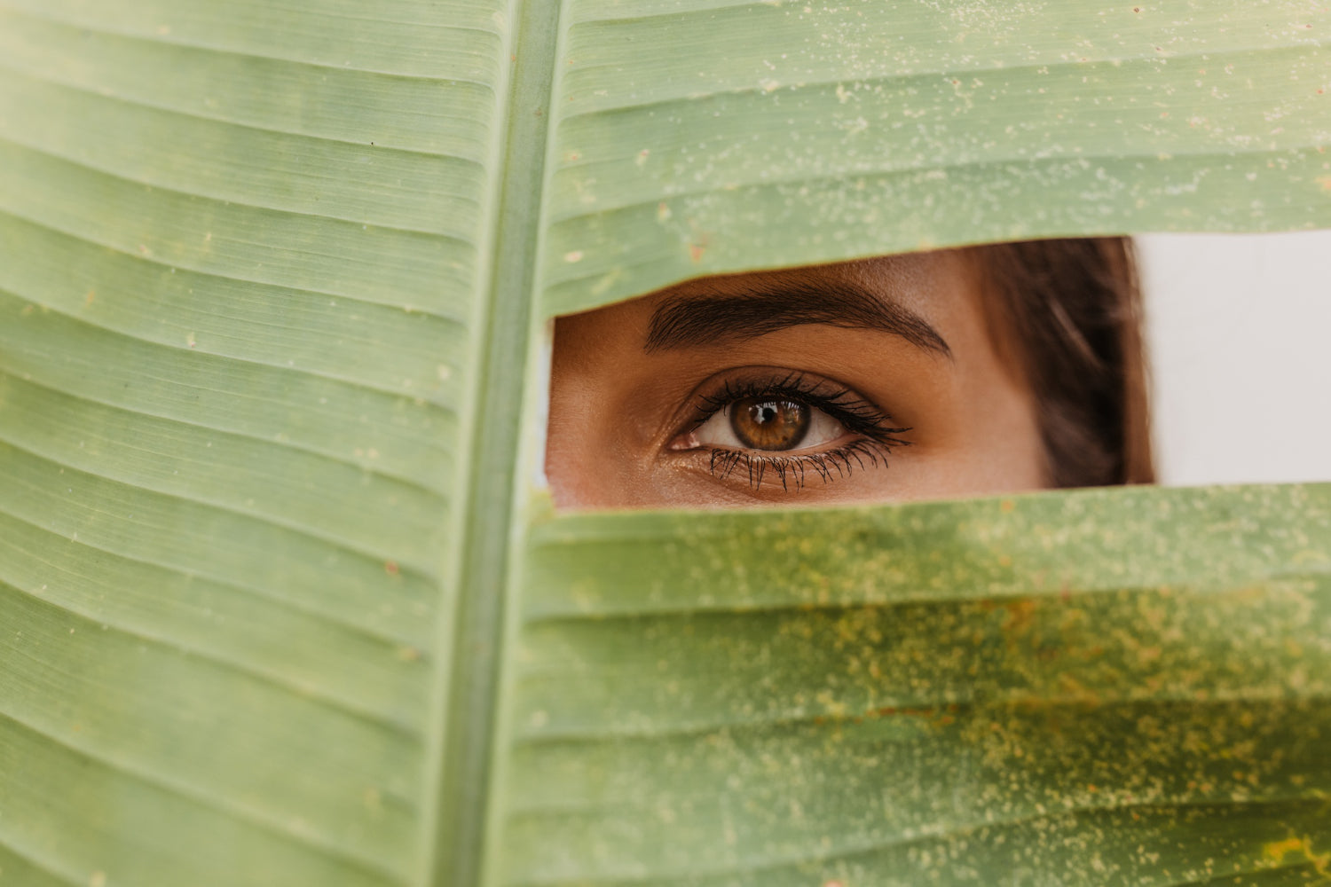 Suplementos para a visão formulados para apoiar a saúde ocular e ajudar a proteger os olhos no dia a dia