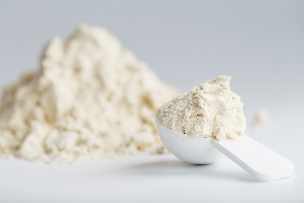 Proteína em pó em destaque sobre fundo neutro, transmitindo pureza, simplicidade e foco na nutrição desportiva.