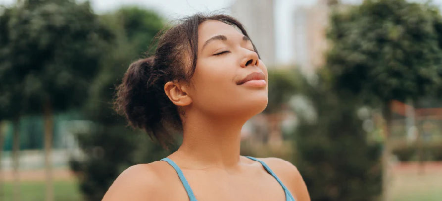 Sistema Respiratório