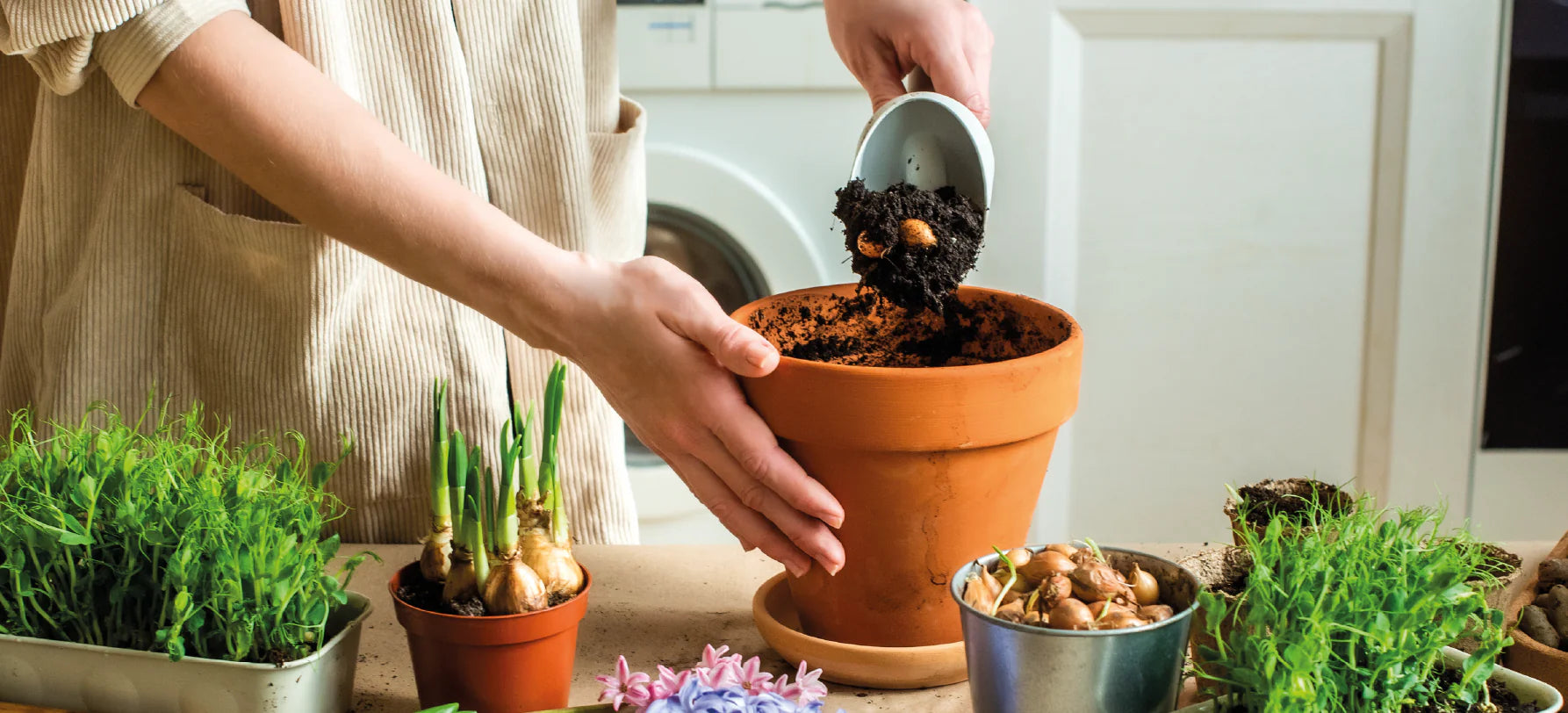 Plantação em destaque, transmitindo origem natural, crescimento e ligação a um estilo de vida sustentável.