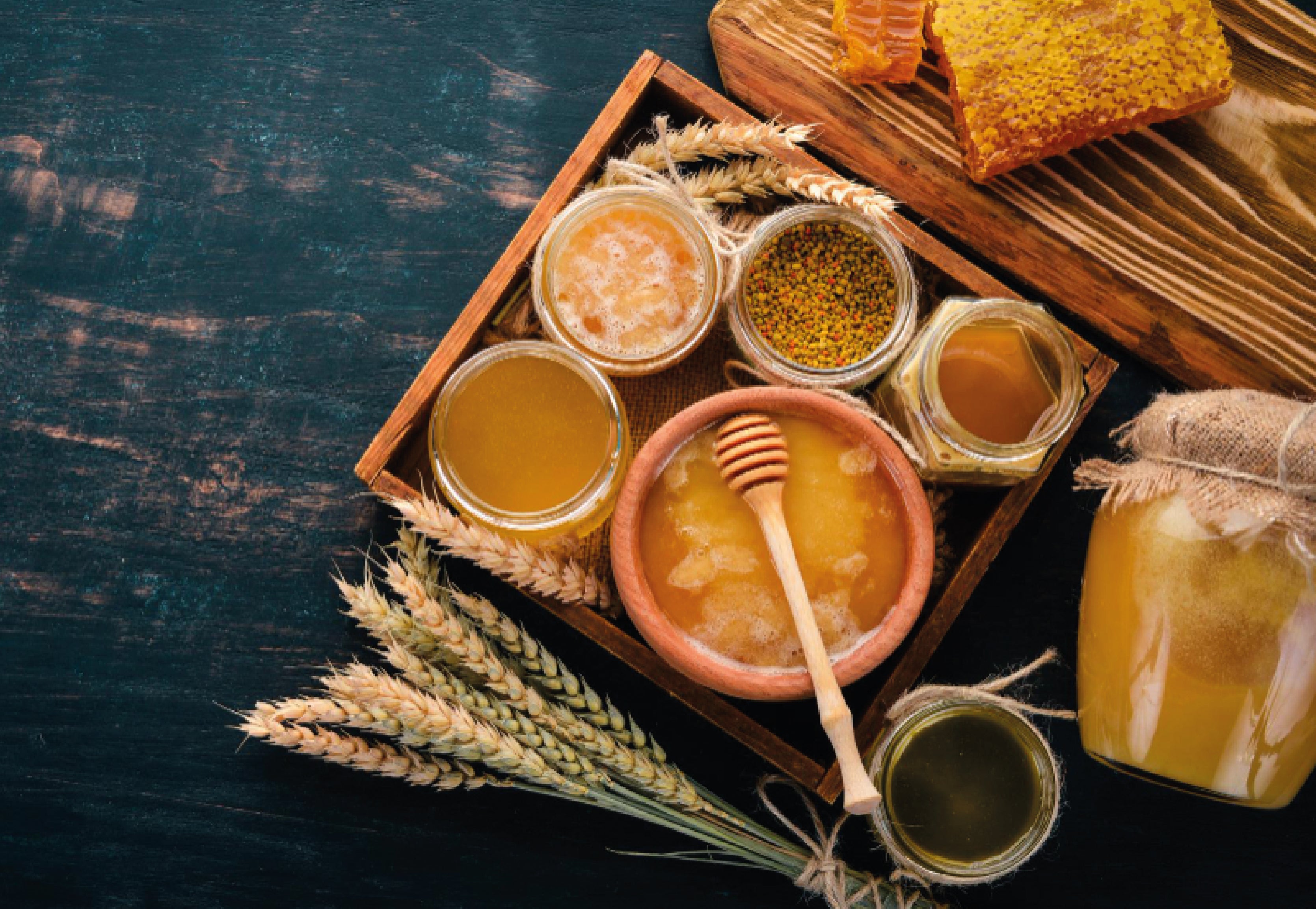 Produtos apícolas naturais como mel, própolis e pólen, ricos em nutrientes e tradicionalmente utilizados para apoiar o bem-estar.