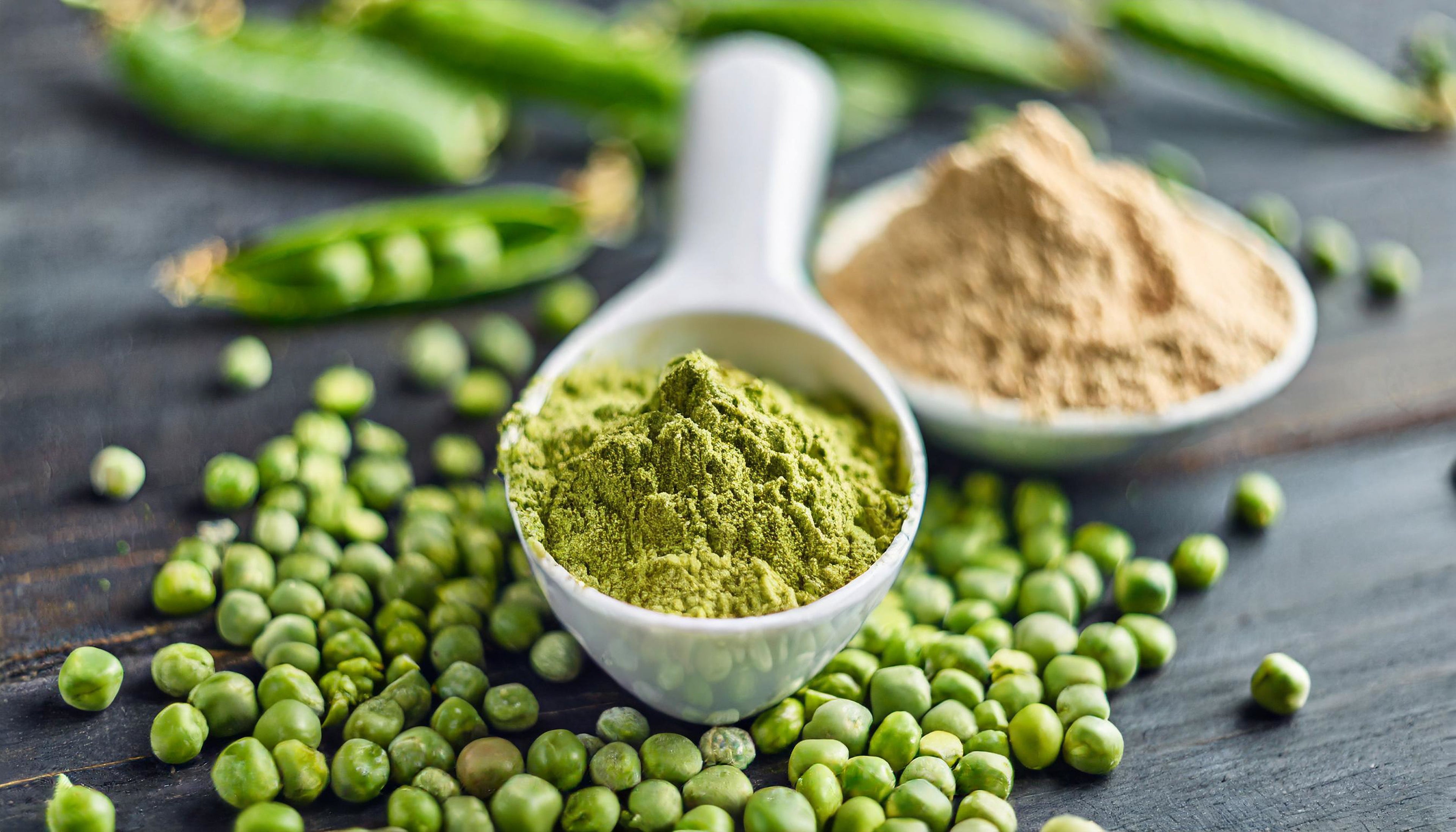 Proteína vegetal em pó em destaque, evocando origem natural, nutrição equilibrada e alternativa de base vegetal.