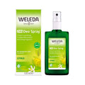 24h deo spray citrus