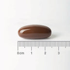 Lecitina De Soja 1200mg 120 Cápsulas Lamberts