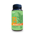 Boswellia da Dharma Botanicals é um suplemento alimentar em cápsulas vegetais com extrato de Boswellia serratapadronizado para 65% de ácidos boswélicos.