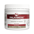Pote de Palatinose Vitafor 300g em pó, suplemento energético de liberação lenta ideal para atletas e praticantes de atividades físicas