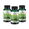 Gotu Kola 435 mg, envase de 3 x 60 cápsulas. Complemento alimenticio Swanson para la circulación, la salud vascular y la vitalidad.
