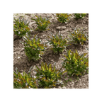 Paquete de semillas de lechuga Cocarde de 1 g de Sementes Vivas, ideal para el cultivo ecológico de lechuga con hojas de color verde oscuro y bordes rojizos.