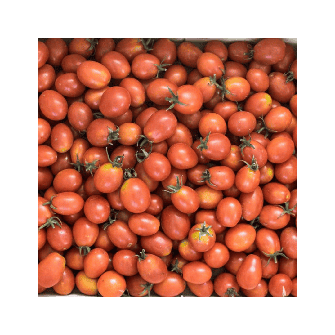 Tomate Cherry Principe Borghese Sementes Vivas