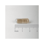 Ashwagandha 6000mg 60 Cápsulas Lamberts