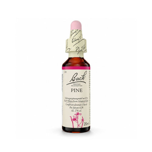 Pine Floral de Bach 20 ml em frasco conta-gotas para promover a aceitação e o equilíbrio emocional.