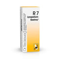 licopodio r7