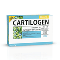 cartilogen elastic