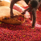 Café artesanal keniano 250 g Origen