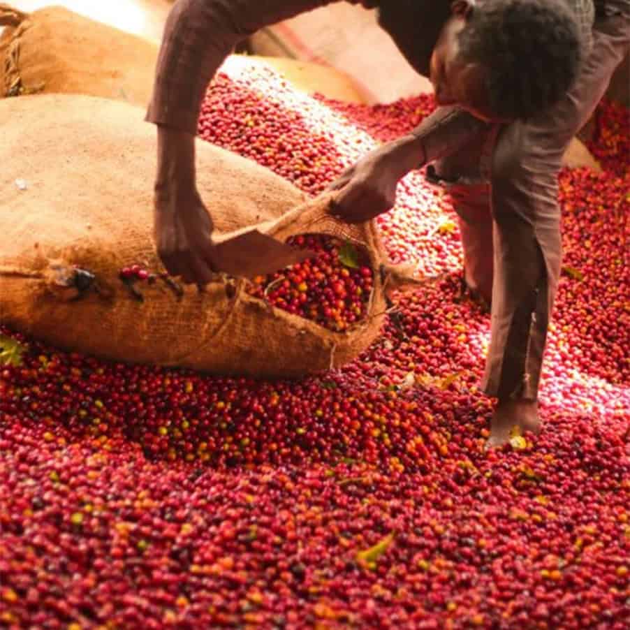 Café artesanal keniano 250 g Origen