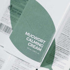 Máscara Calmante de Argila Mugwort 100ml Isntree