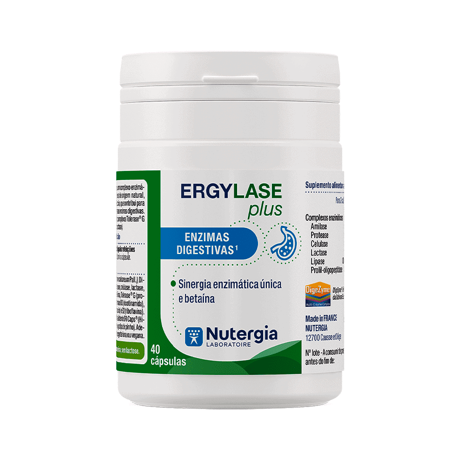 ergylase