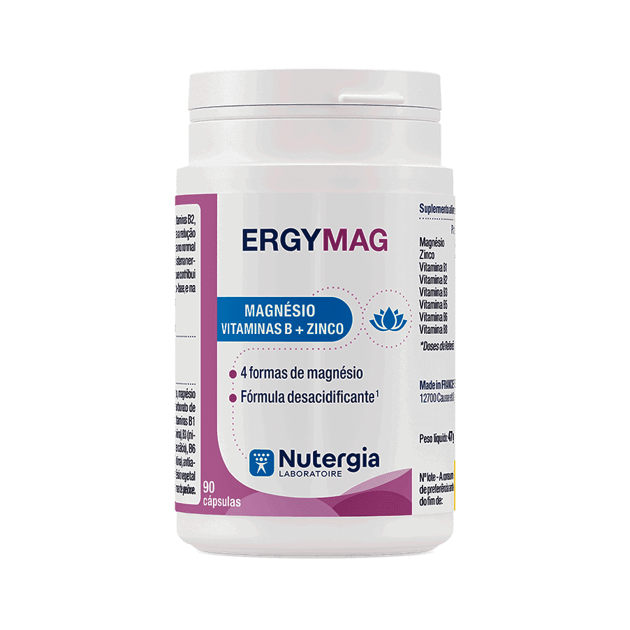 ErgyMag