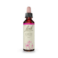 Larch Floral de Bach Original em frasco de 20 ml, essência floral tradicional associada ao bem-estar emocional.