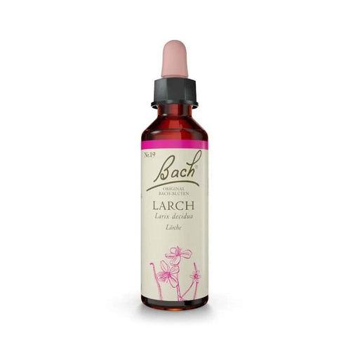 Larch Bach Flower Remedy Original en un frasco de 20 ml, una esencia floral tradicional asociada con el bienestar emocional.