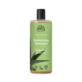 Shampoo Aloe Vera para cabelo normal 250ml da Urtekram em frasco verde.