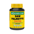 saw palmetto