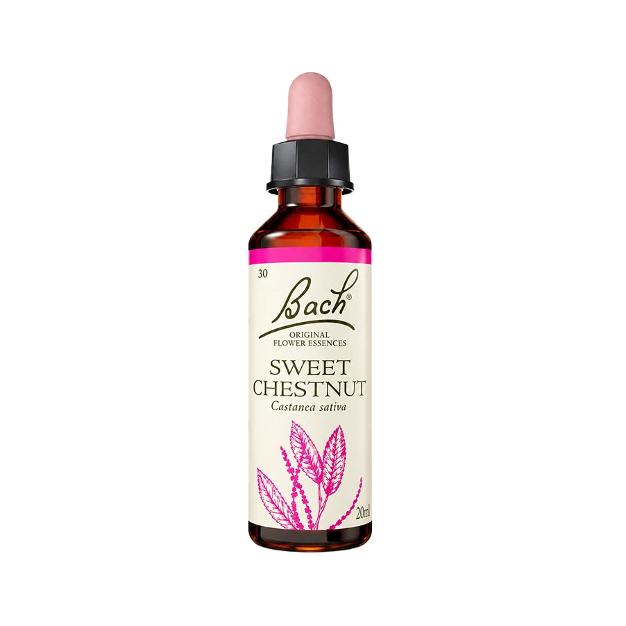 Sweet Chestnut 20ml Floral de Bach, essência floral de Castanea sativa em frasco conta-gotas.