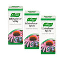 Echinaforce Spray Pack x 3 online