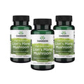 Paquete de 3 x 60 cápsulas de hongo melena de león Swanson, 500 mg, un complemento alimenticio con Hericium erinaceus para complementar tu rutina de bienestar cognitivo.