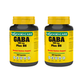 GABA Plus B6 500mg Good Care pack 2 x 100 cápsulas vegetais suplemento para relaxamento equilíbrio do sistema nervoso e apoio ao bem-estar mental
