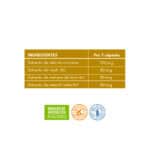 Frasco do Mico Neo GST com 60 cápsulas da NeoVital Health, suplemento com cogumelos medicinais para suporte gastrointestinal.